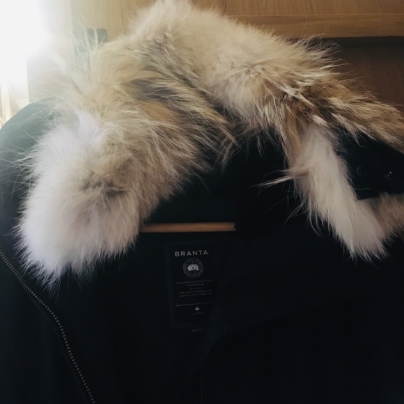 Canada Goose black label xxs - Picture 4 of 6